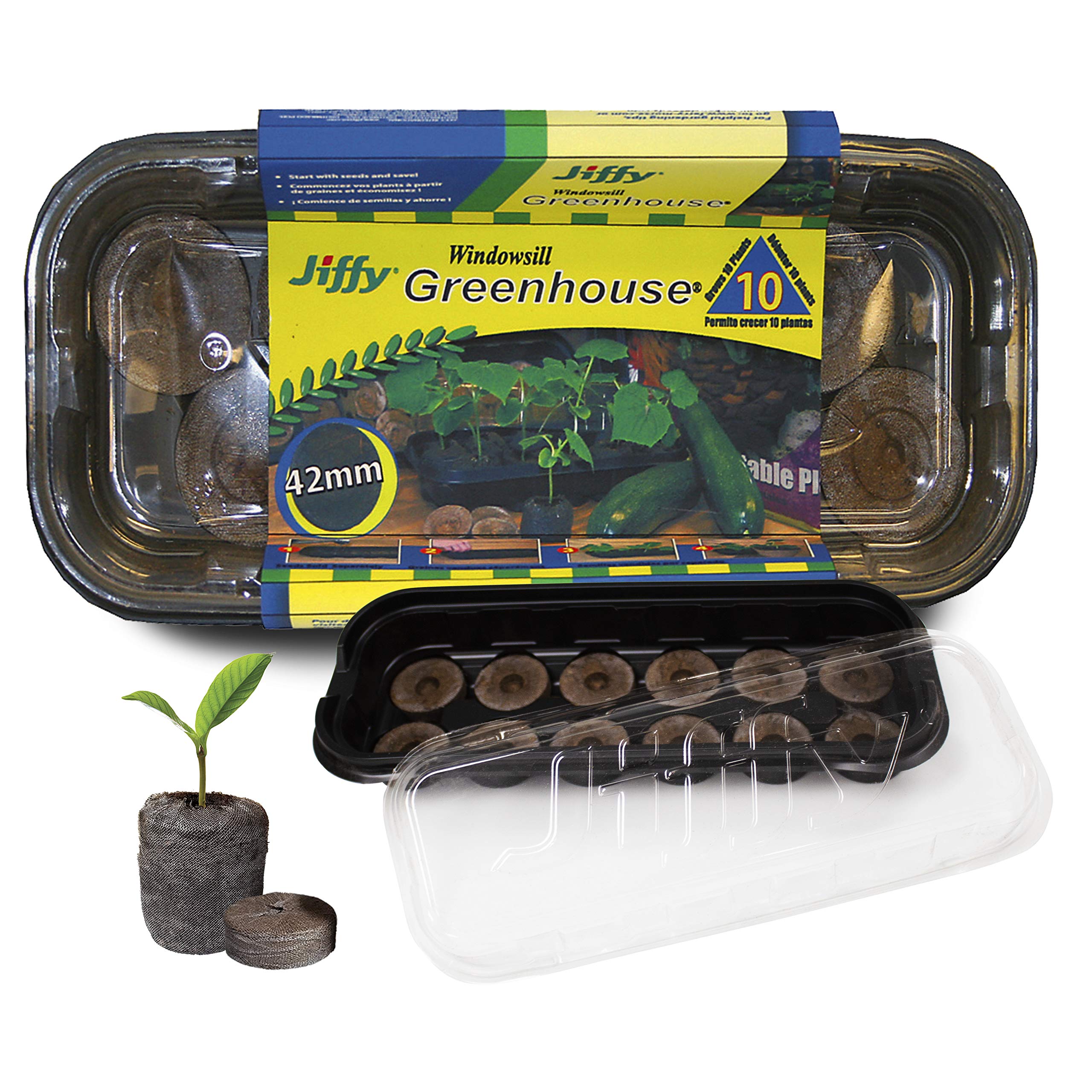 Amazon.com : Ferry Morse Jiffy Seed Starting Windowsill Greenhouse