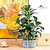 Product Photo 5
