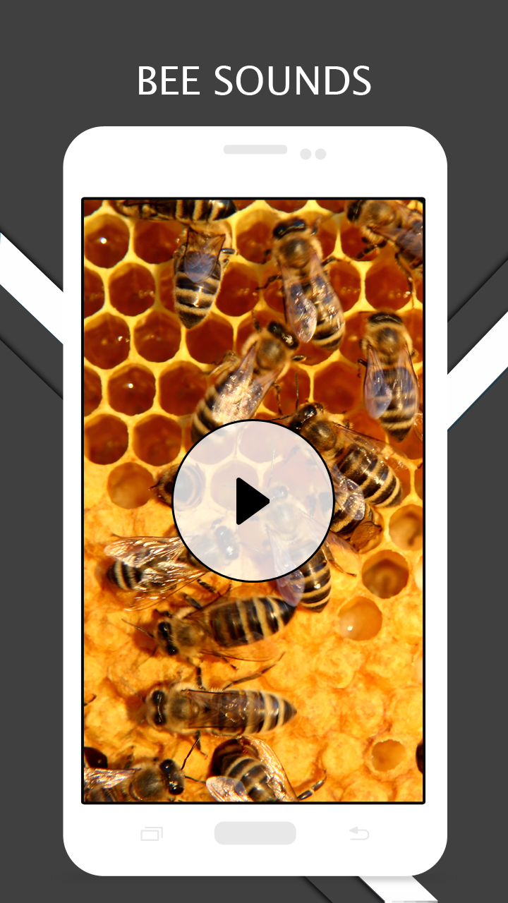 Bee Sounds - App on Amazon Appstore