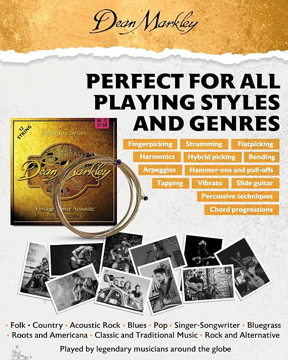 Dean Markley 2204 Acoustic Light 12 Guitar Strings - brown