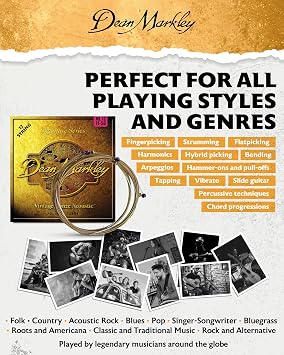 Dean Markley 2204 Acoustic Light 12 Guitar Strings - brown