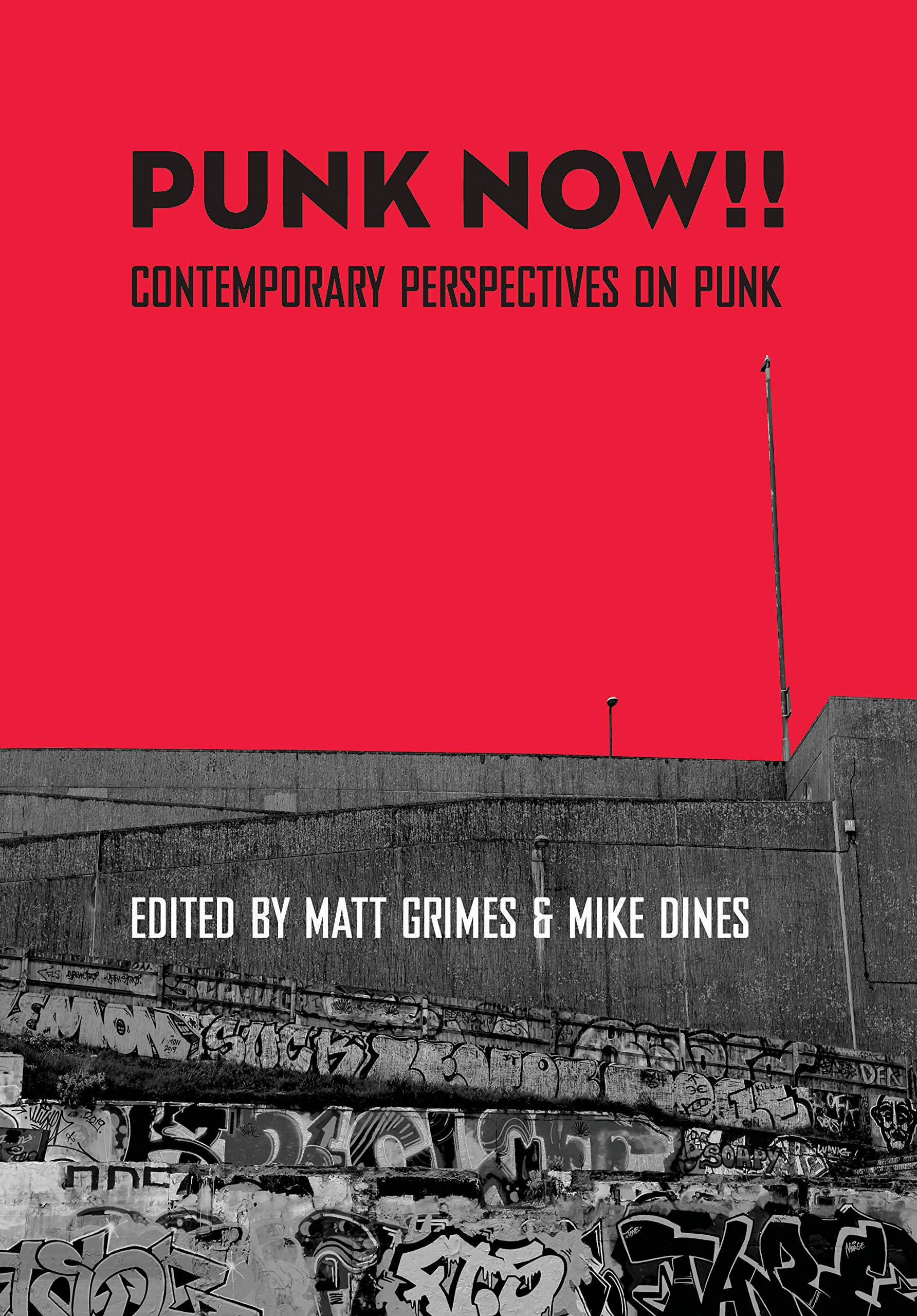 Punk Now Contemporary Perspectives comprendre l'évolution du punk aujourd'hui