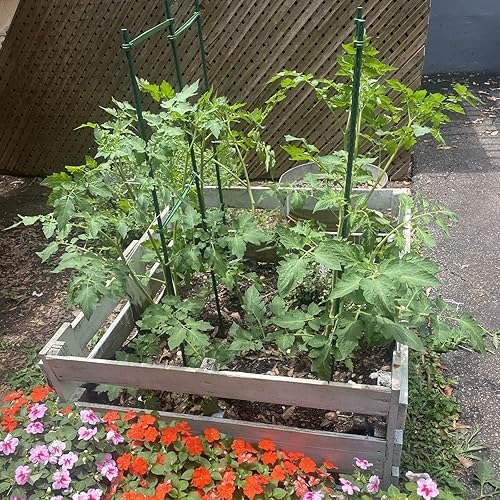Miniatura 3 de Estacas de jardín y aros de invernadero para proteger las plantas