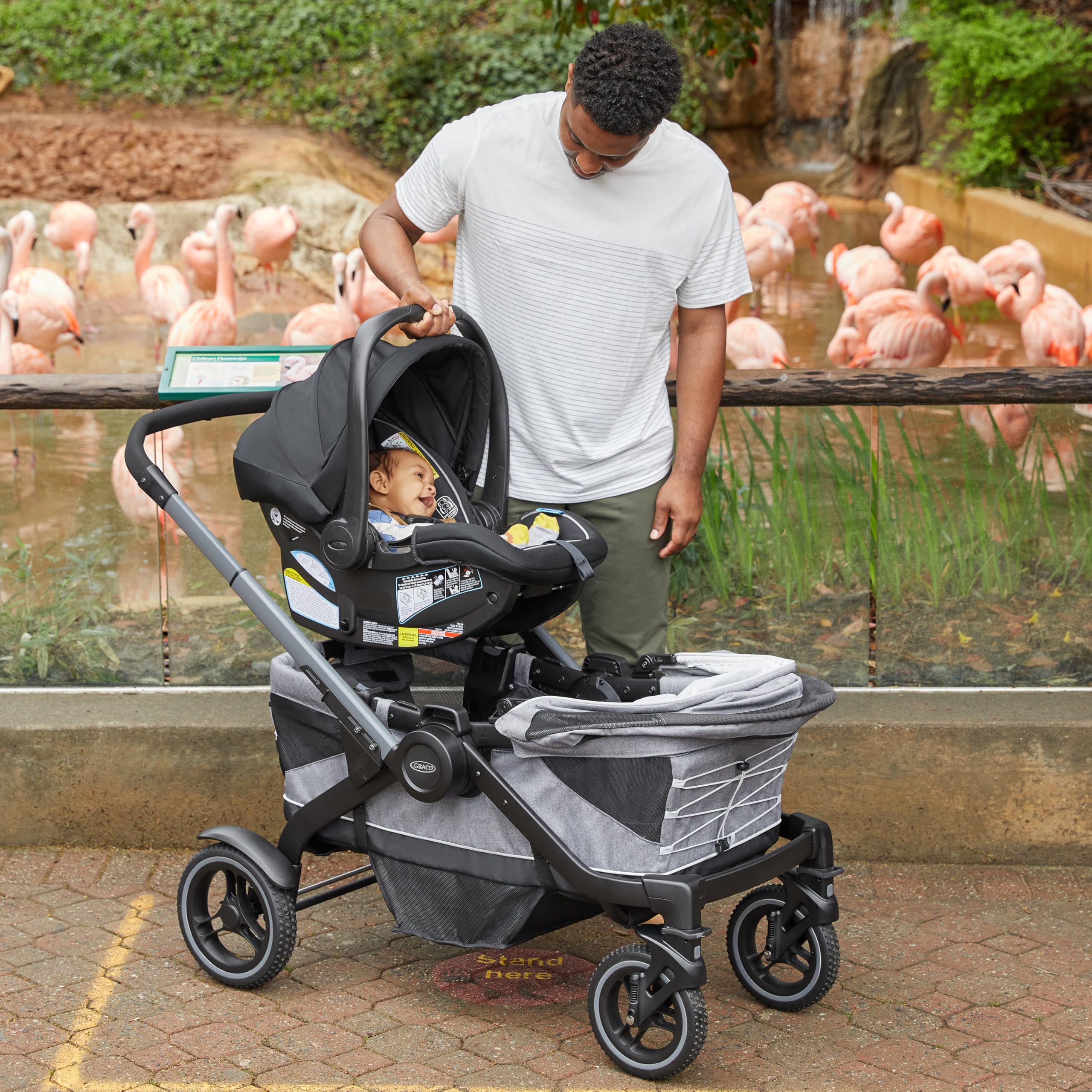 Amazon.com : Graco Modes Adventure Stroller Wagon Car Seat Adapter : Baby