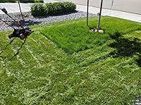 Review Image by Ratboy Ratboy