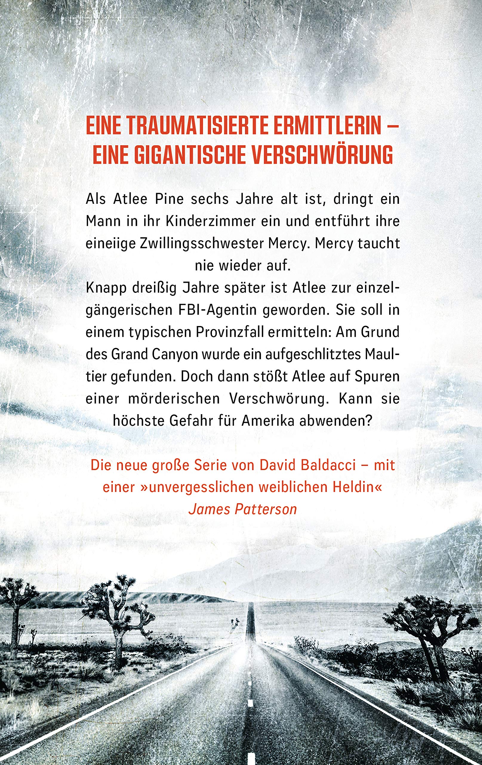 Ausgezählt: Thriller (Die Atlee-Pine-Serie, Band 1)