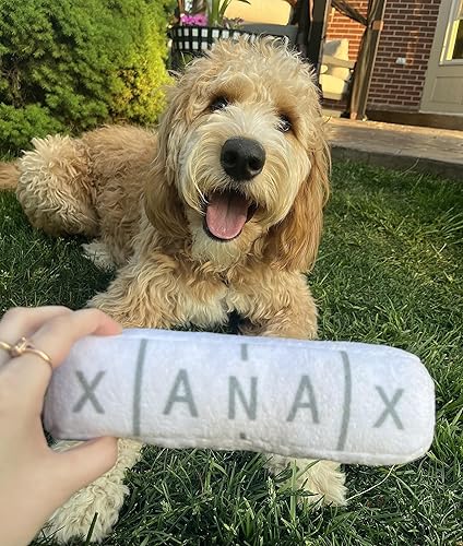 Miniatura 4 de Nestpark Chill Pup - Juguete divertido para perro, juguete de peluche parodia chirriante y arrugado para perros