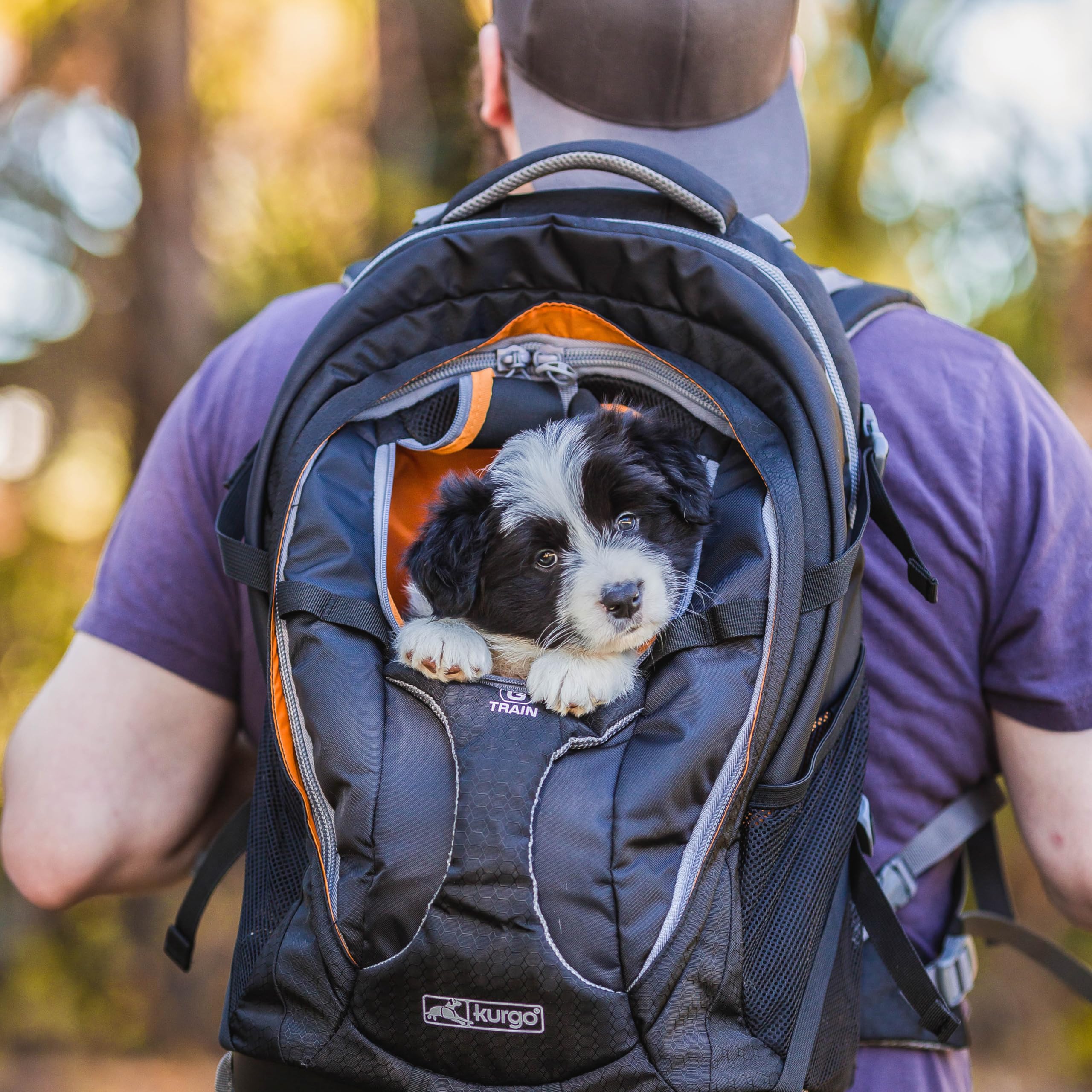 Kurgo G-Train - Mochila Transportín para Mascotas Pequeñas - Para Viajes y Senderismo, Fondo Impermeable y Múltiples Compartimentos - Azul Marino