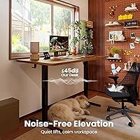 Vista 9 de ErGear Escritorio eléctrico de pie ajustable en altura, escritorio de pie de 48 x 24 pulgadas, escritorio de oficina en casa con memoria para Marrón