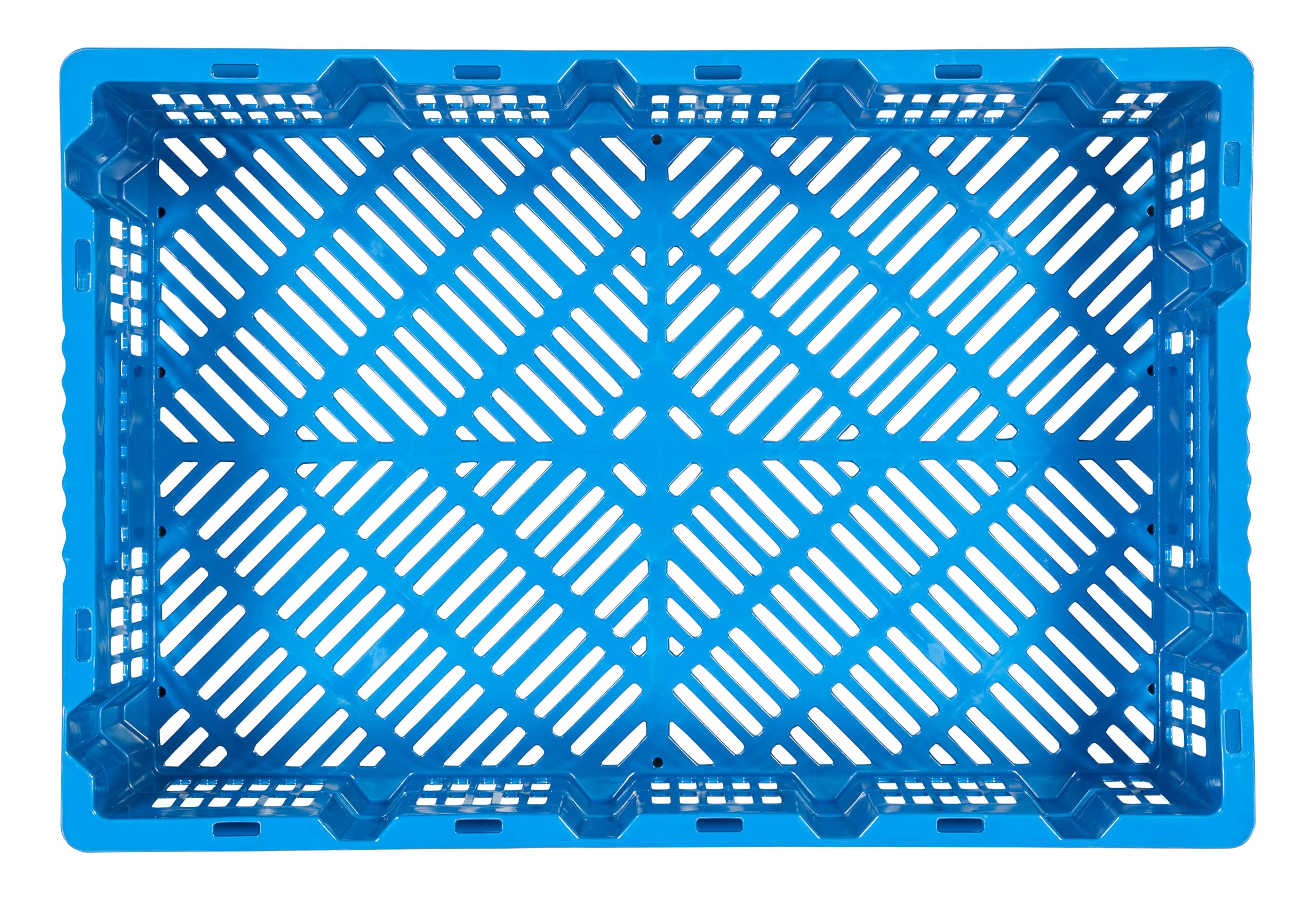 Set di 10 Casse Cassette Cestini Agricoli Jestic | 59x39,5x15 cm | per Carne Pesce Frutta Verdura Dura | CE 1935/2004 | Impilabili | Blu | in Plastica