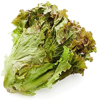 Amazon.co.jp: 八鮮屋 神奈川県産 湘南野菜 サニーレタス 200g