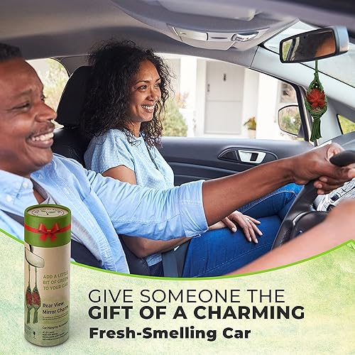 Miniatura 5 de Juego de 2 macetas colgantes para suculentas con aceite esencial y suculentas artificiales, perfectas para el hogar, la oficina o el espejo