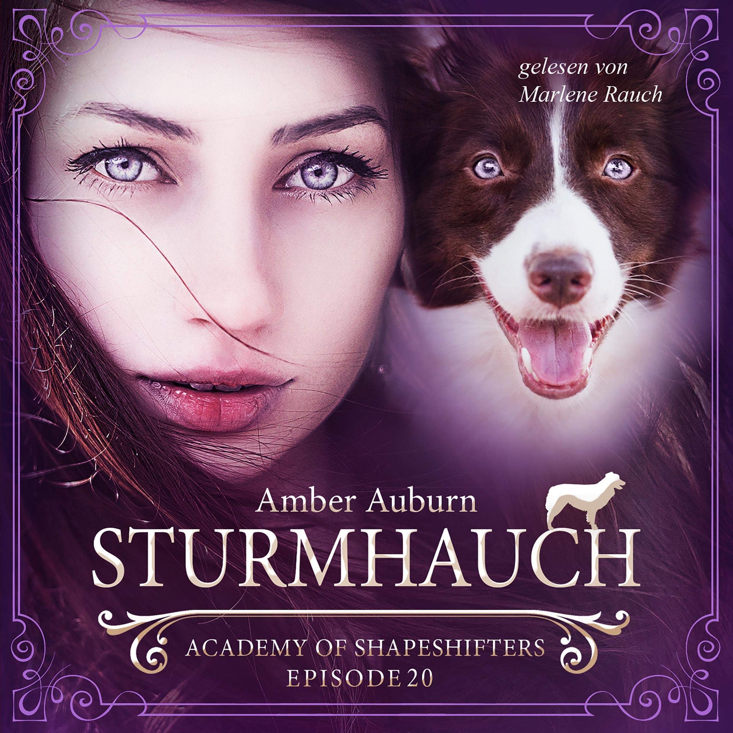 Cover art for Sturmhauch