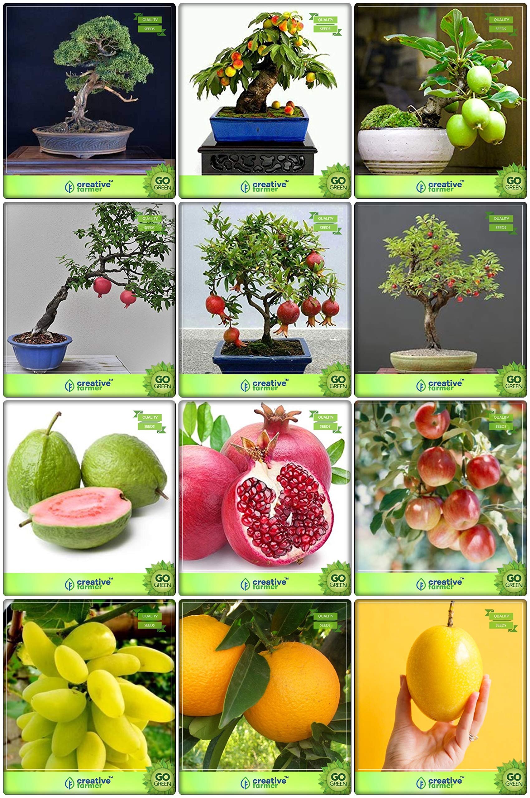 Creative Farmer Fruit Seeds For Home Garden Combo Fruit and Bonsai Suitable : Persian Walnut, Peach, Lemon Guava, Pomagranate, Pomagranate Dwarf, Chinese Date, Psidium Guava and Others -5 Packs (B07HTT5764) Amazon Price History, Amazon Price Tracker