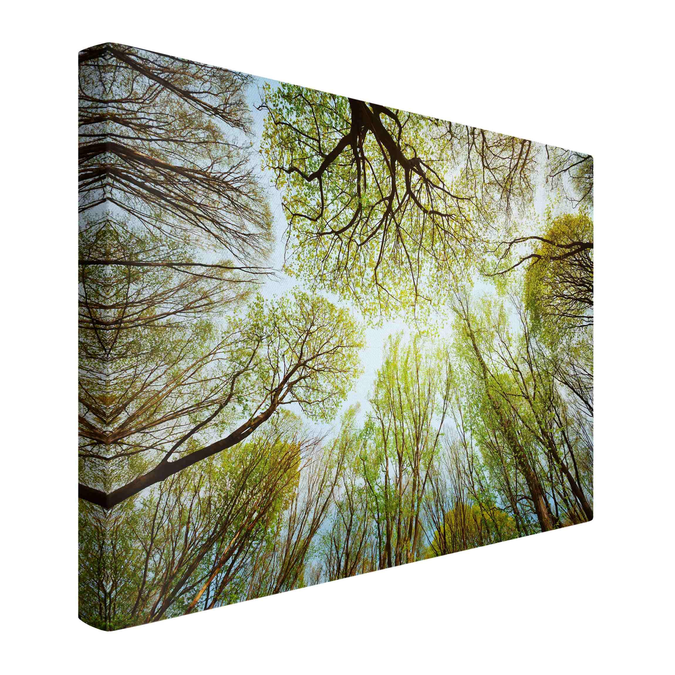 micasia Akustikbild Wald Bäume Natur Schallschutzbild 4cm Keilrahmen & Schallabsorber - Baum Modern grün Wohnzimmer Schlafzimmer Bild für bessere Raumakustik 1701 (150x100cm)