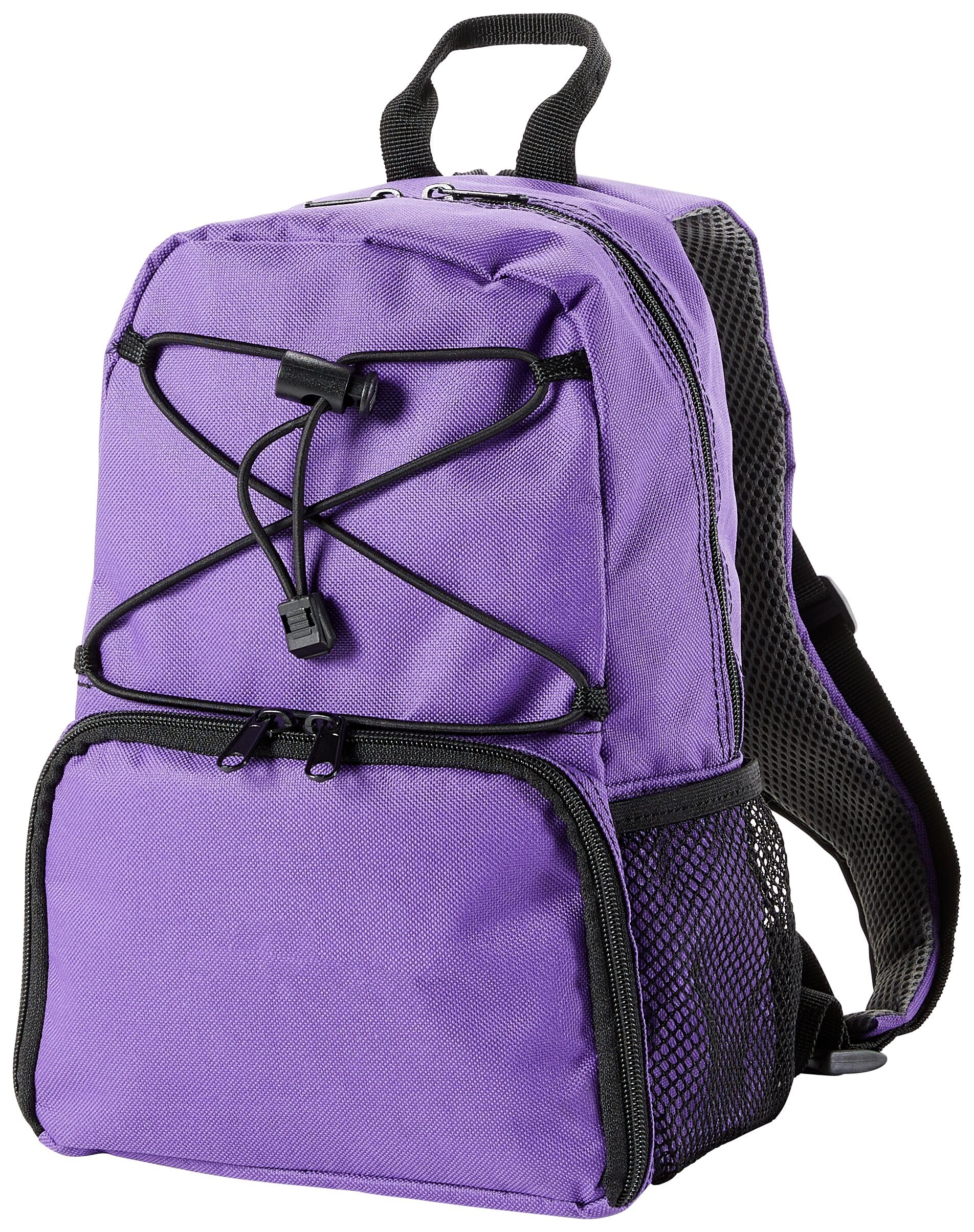 Cardinal Health™ Kangaroo™ Backpack, Purple, Small