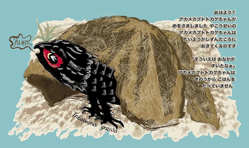 トカちゃん アカメカブトトカゲちゃん | 大石ぶらっきい |本 | 通販 | Amazon