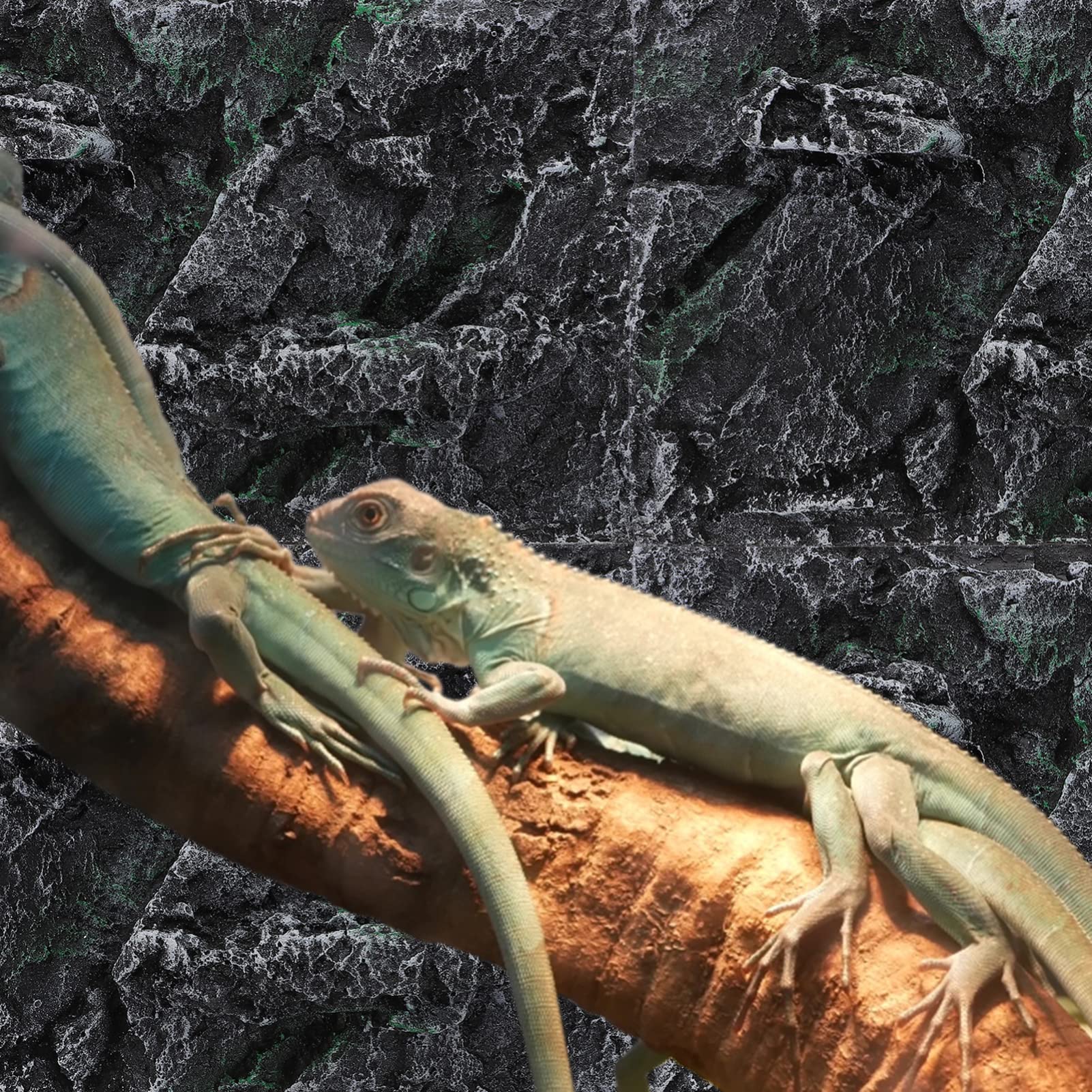 HEALEEP 3D Lizard Toy Reptile Enclosure Frog Decorative Background Board Random Color