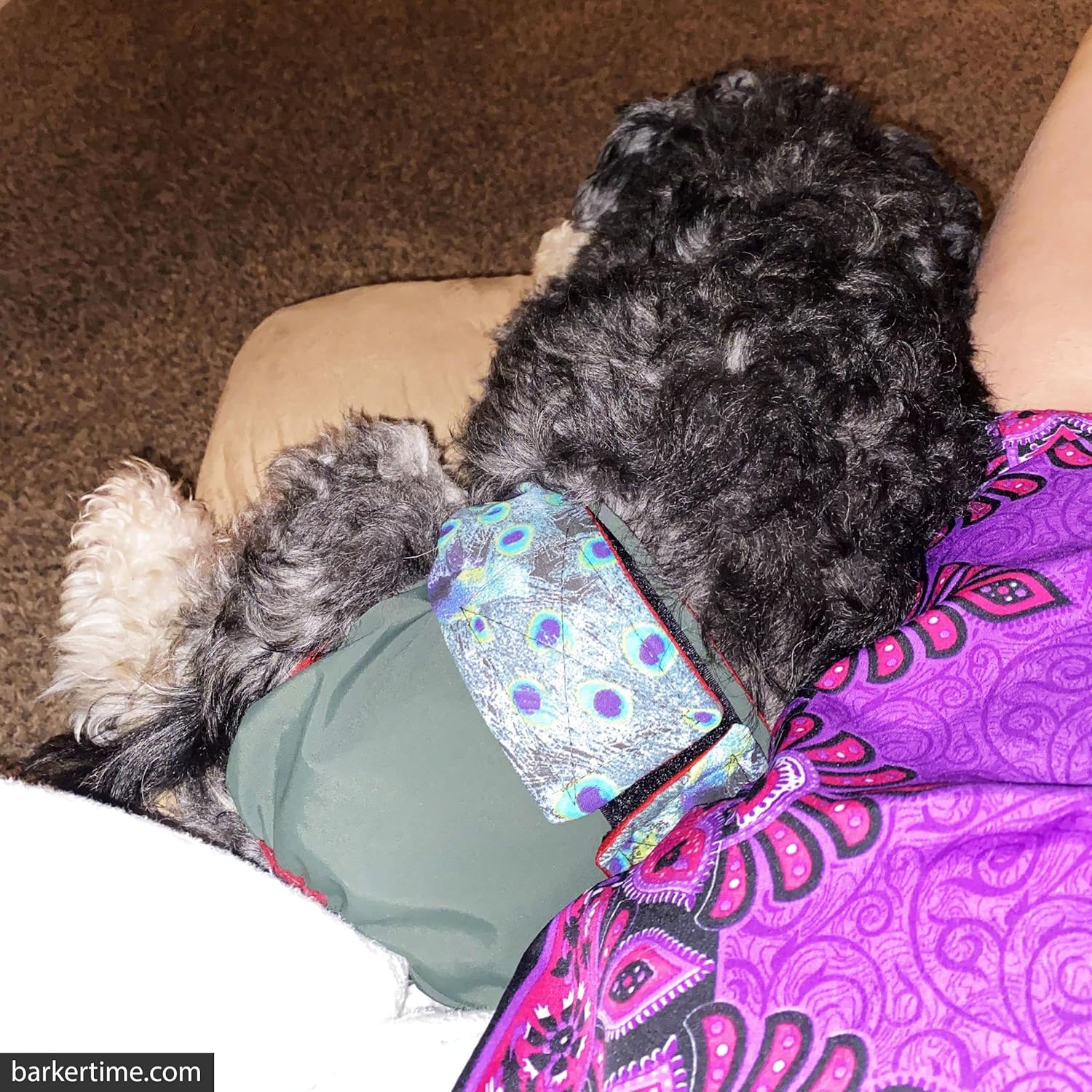 Peacock on Green Dog Diaper, XS, with Tail Hole - Made in USA