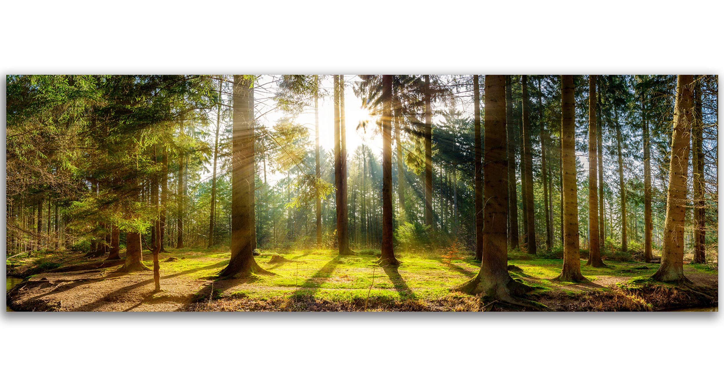 Feeby Obraz na Płótnie Canvas Las Drzewa 150x60 cm 1-częściowy Obraz na Ścianę Dekoracja Ścienna do Salonu Sypialni Biura Obraz Ścienny XXL Pejzaż Żółty