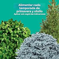 Vista 4 de Miracle-Gro Puntas de alimento para plantas de árboles y arbustos, para árboles caducifolios, con flores y siempre verdes, 12 puntas