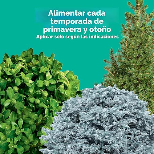 Miniatura 4 de Miracle-Gro Puntas de alimento para plantas de árboles y arbustos, para árboles caducifolios, con flores y siempre verdes, 12 puntas