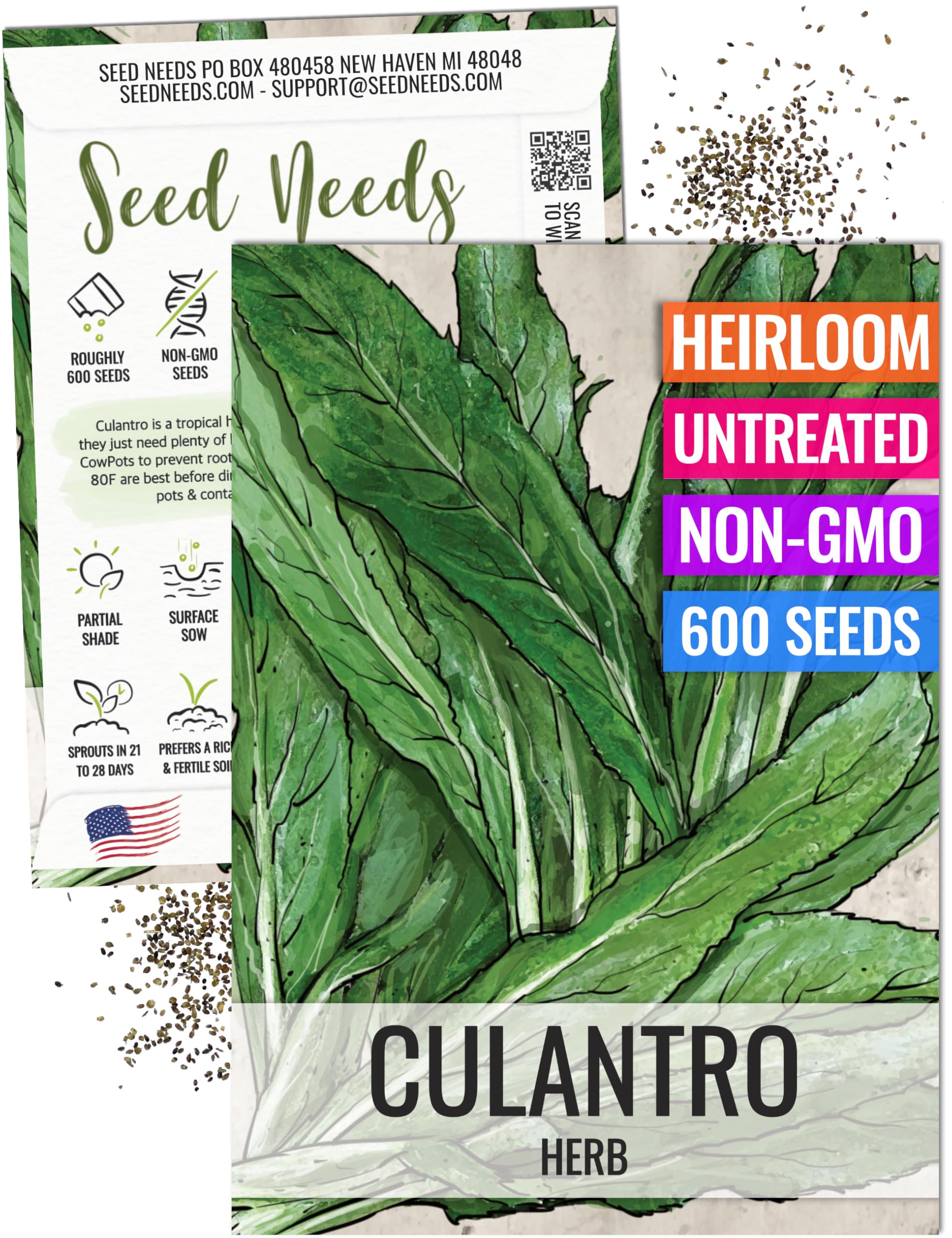 Seed Needs Culantro Seeds for Planting Mexican Coriander - Non-GMO Heirloom & Untreated Culinary/Medicinal Herbs to Grow an Indoor/Outdoor Herb Garden (1 Pack)