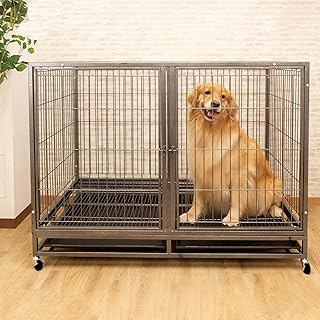 Amazon Co Jp 犬 ゲージ 激安 Amazon Co Jp 犬 ゲージ 激安