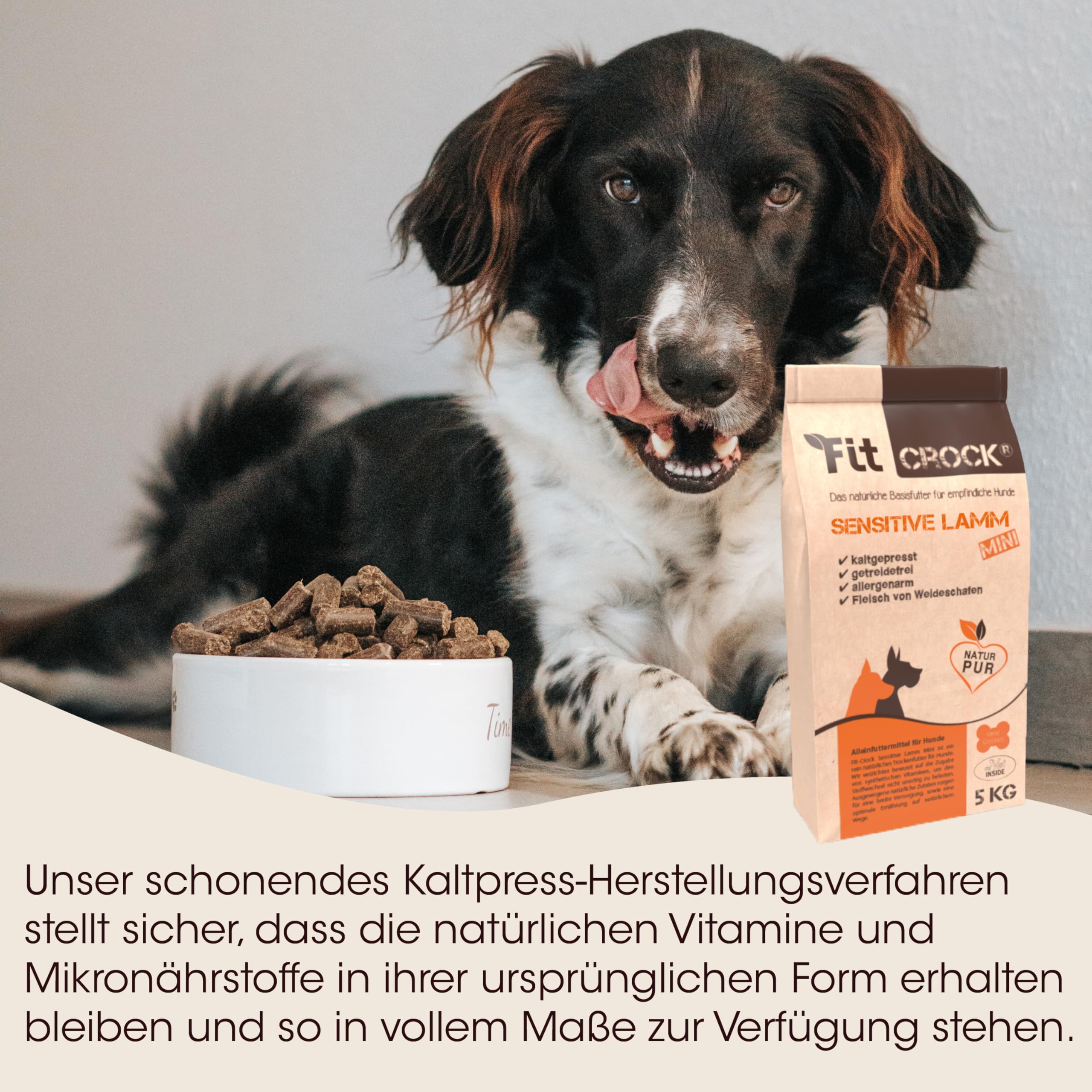 cdVet Fit-Crock Hundefutter trocken Sensitive Lamm Mini 10 kg, getreidefrei