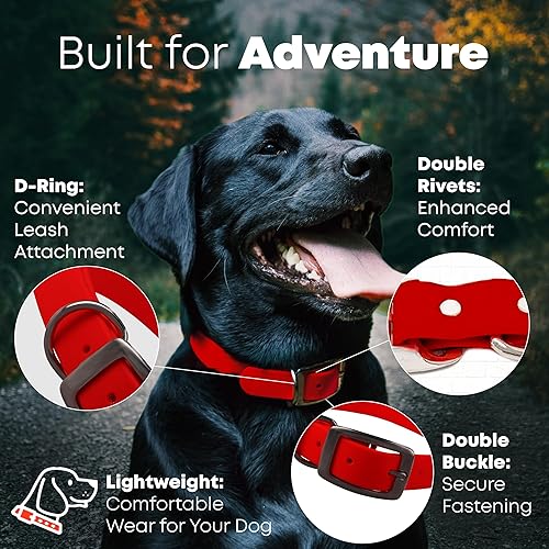 Miniatura 126 de Regal Dog Products Collares de perro grandes, impermeables, color rosa, con placa de nombre grabada personalizada, revestimiento de vinilo, anti