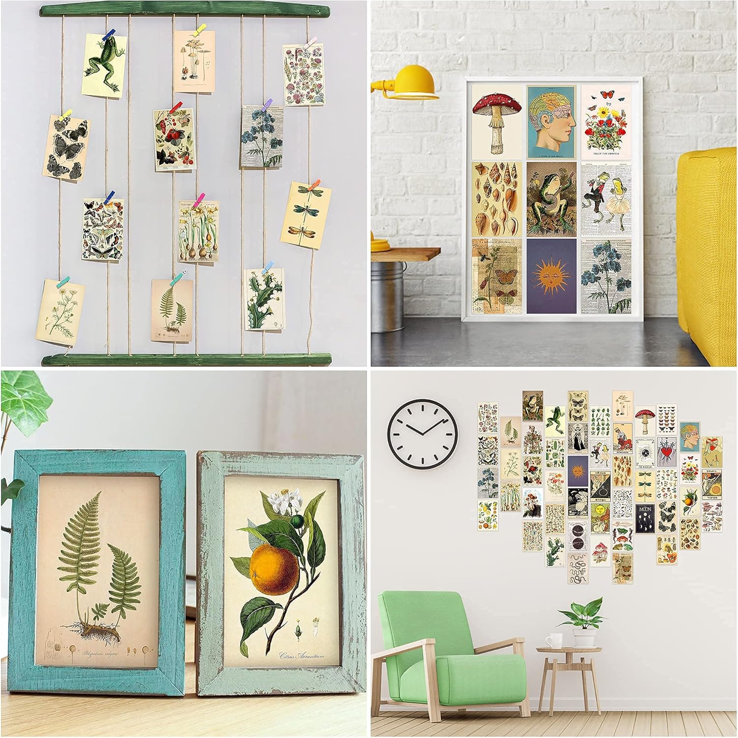 8TEHEVIN 50PCS Vintage Botanical Illustration Tarot Aesthetic Pictures Wall Collage Kit, Trendy Small Poster for Dorm, Vintage Style Art Print Photo Collection, Bedroom Decor for Teens Boys Girls: Posters & Prints