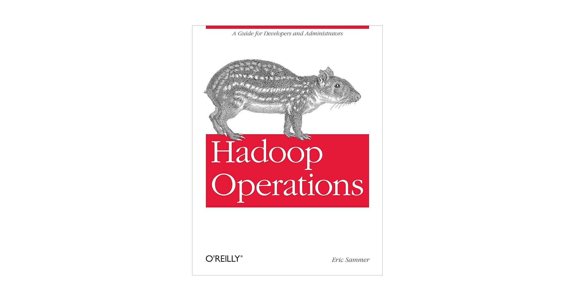 Hadoop Operations: A Guide for Developers and Administrators