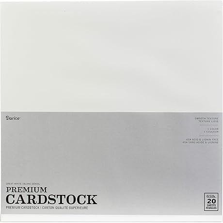 Our Top Choice: Darice Card Stock Paper