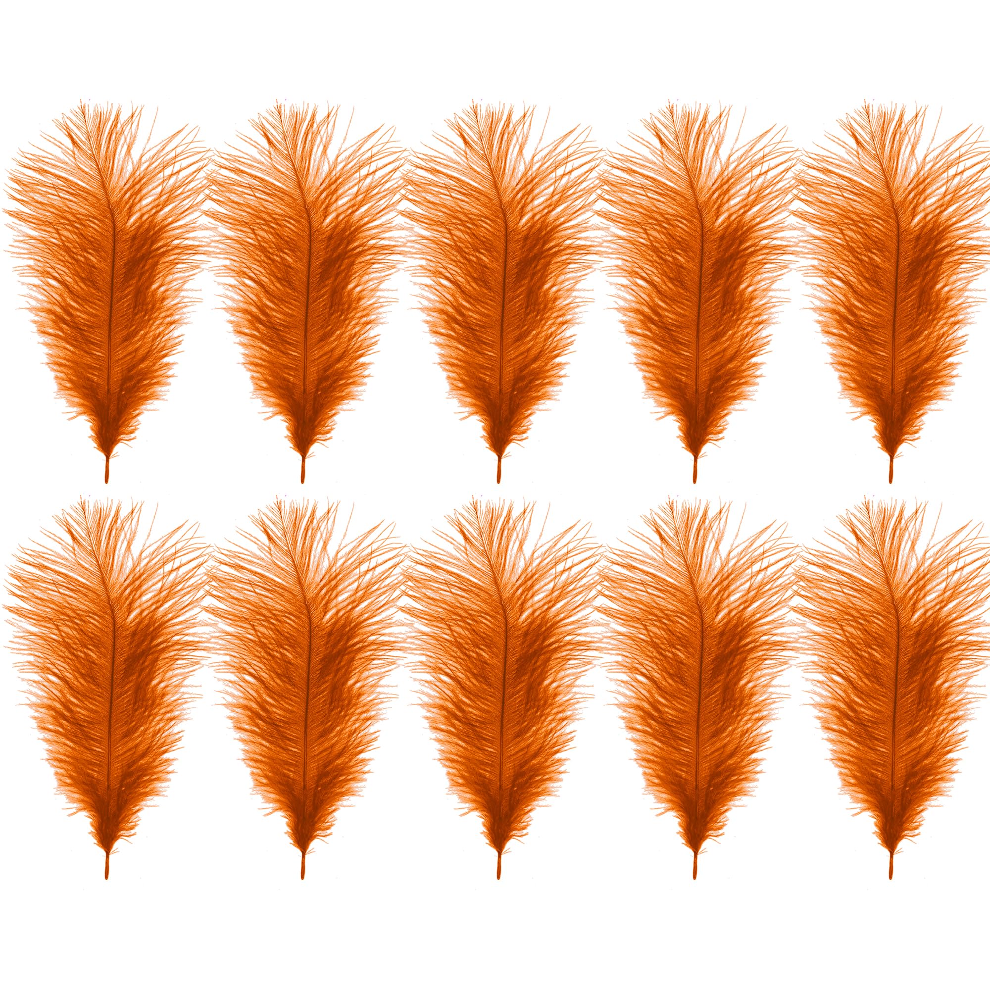 WedDecor 35cm Orange Ostrich Feathers for Wedding Decoration – Real Feather Supplies for Crafts, DIY Headdresses, Dressmaking, Table Centrepieces & Fashion Accessories, 10pcs