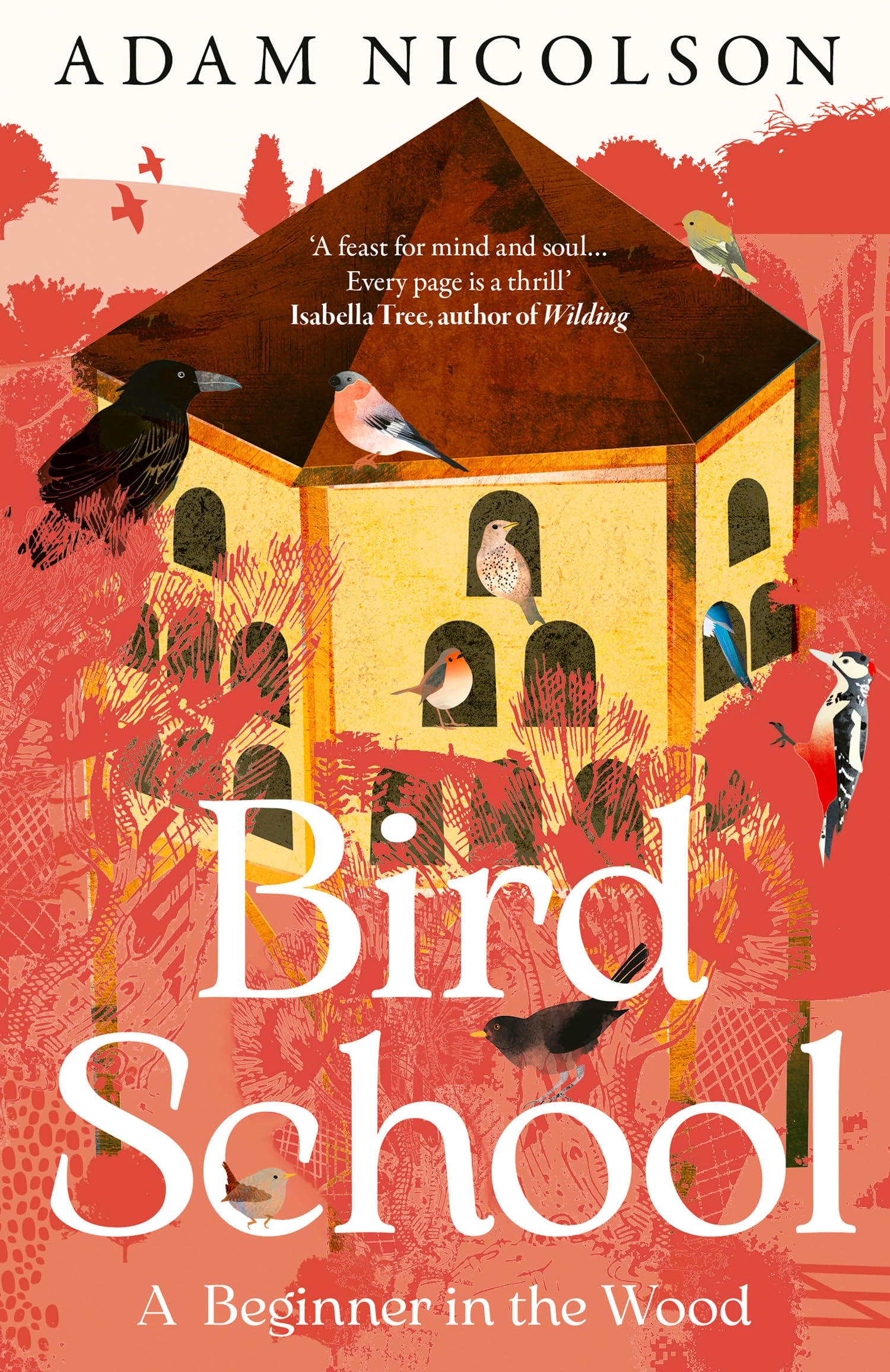 Adam Nicolson - Bird School - Paperback Book