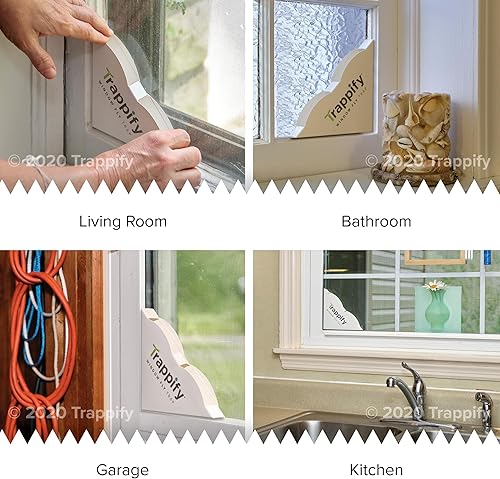 Vista 3 de Trappify Trampa para moscas para interiores: trampas para moscas de ventana para el hogar Trampas para moscas de frutas para interiores, trampas