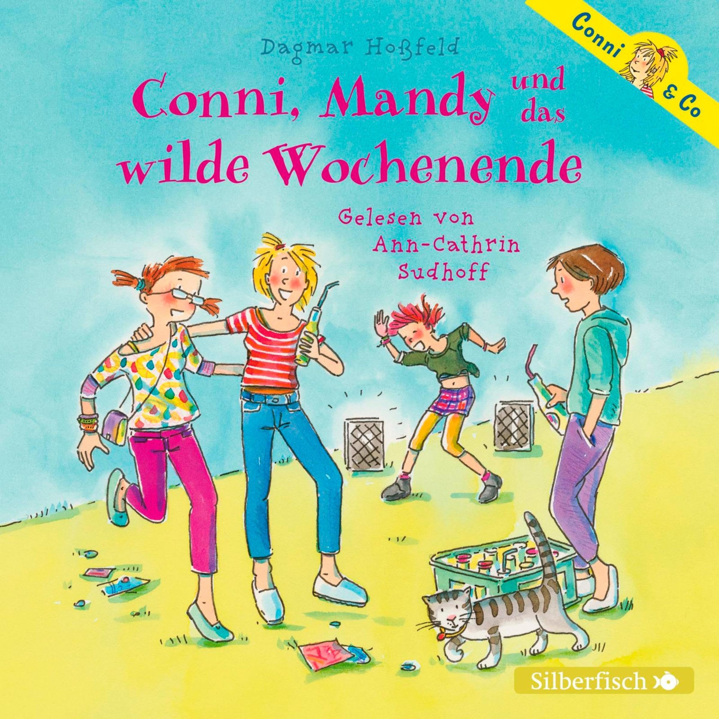 Cover art for Conni, Mandy und das wilde Wochenende