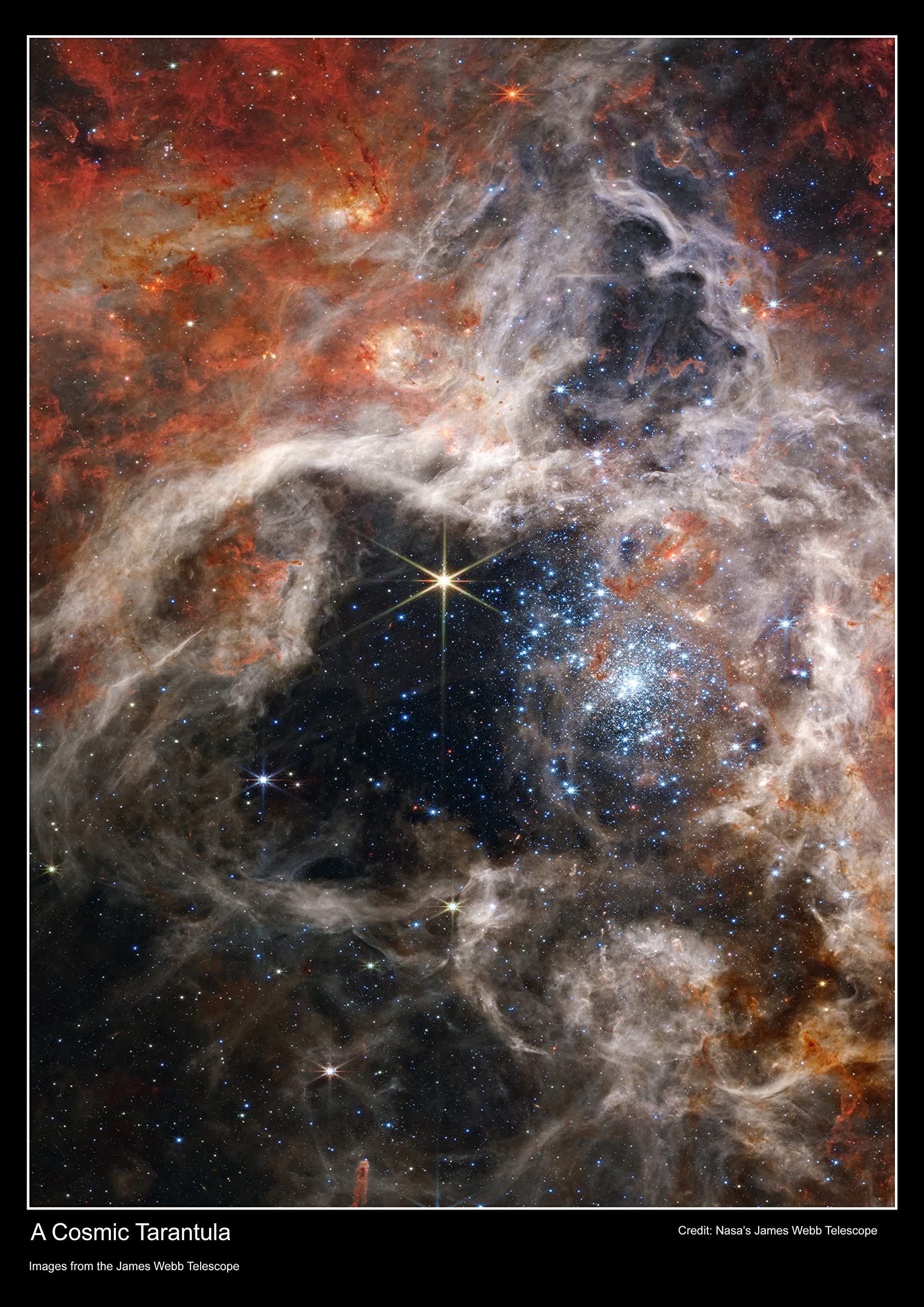 Snowgoose and Lily Tarantula Nebula - James Webb Space Telescope Poster - A2 Size - 42 x 59.4 cm - Paper Laminated