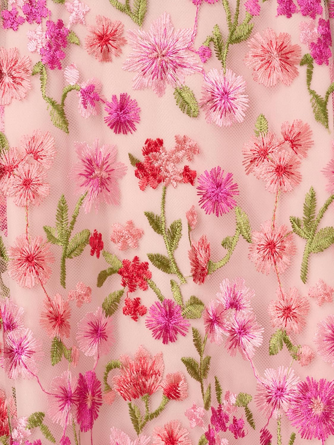 Adrianna Papell Women's Floral Embroidery Midi Dress