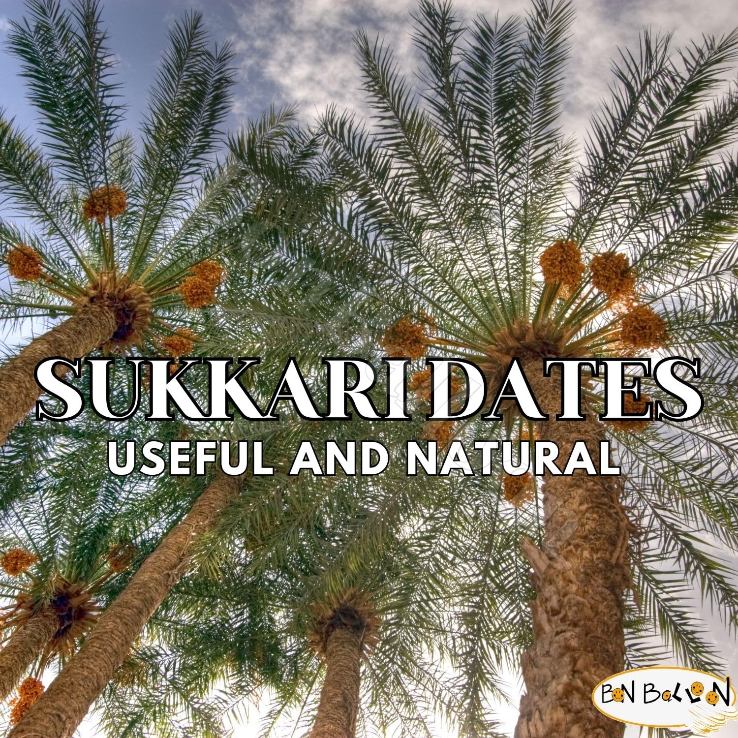 Mefatel Dates Unpressed Saudi Sukkari Sukkary Premium Sukkarri Palm Natural Pure Fresh Arab Sweet Tamar Vegan Tamr Unsugar Halal (1 Pack = 17.64 oz / 500 gm) تمر مفتل حلال