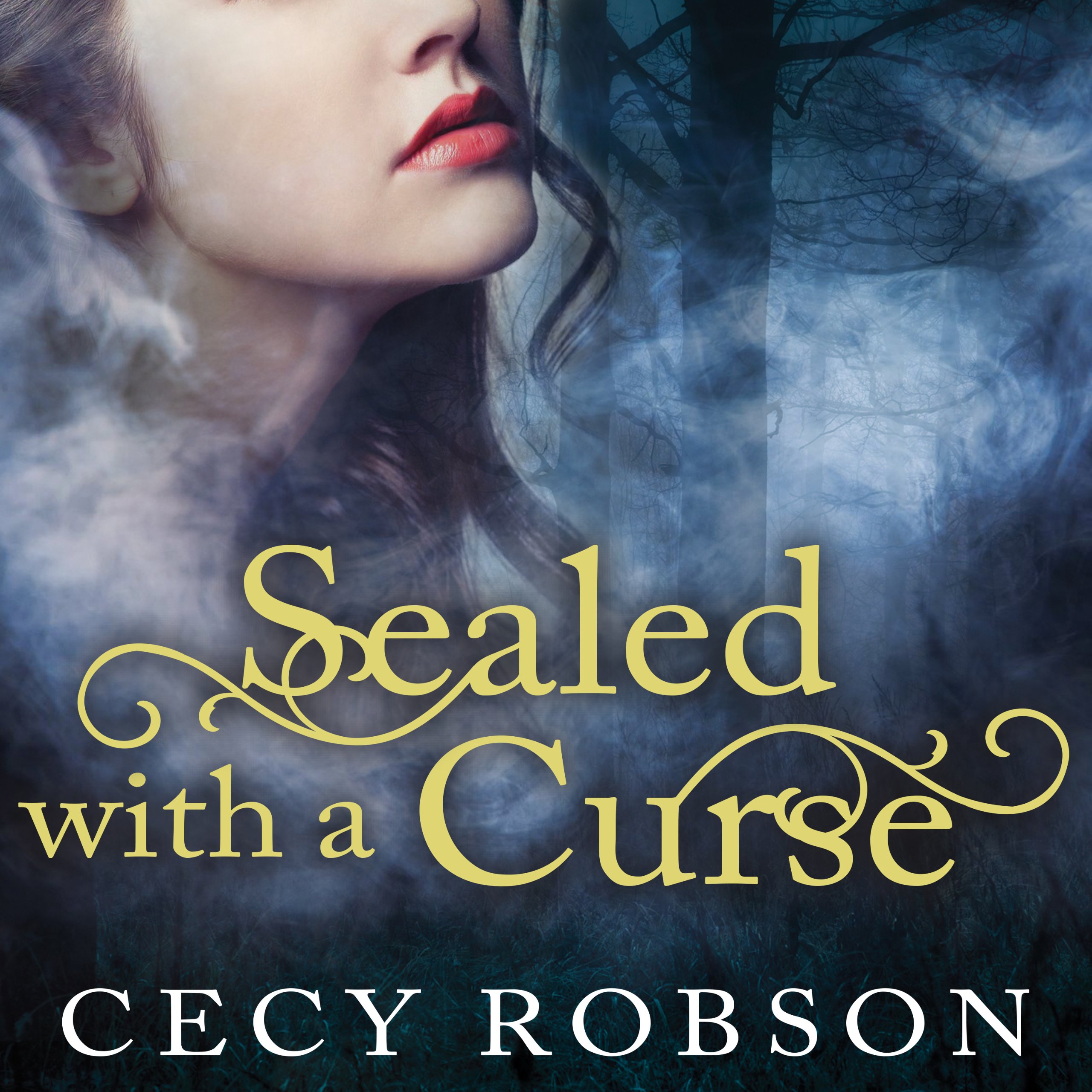 Cover art for Sealed with a Curse