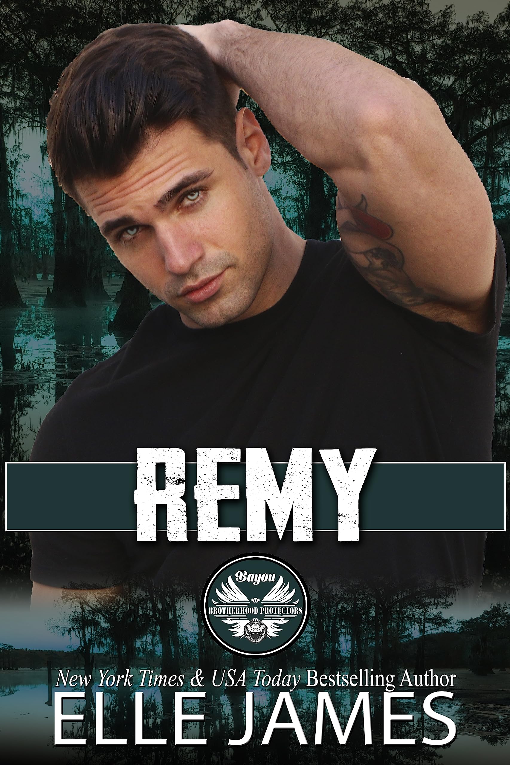 Remy (Bayou Brotherhood Protectors Book 1)