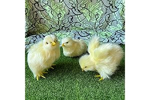 Realistic Baby Chicks for Easter Decorations and Photo Props