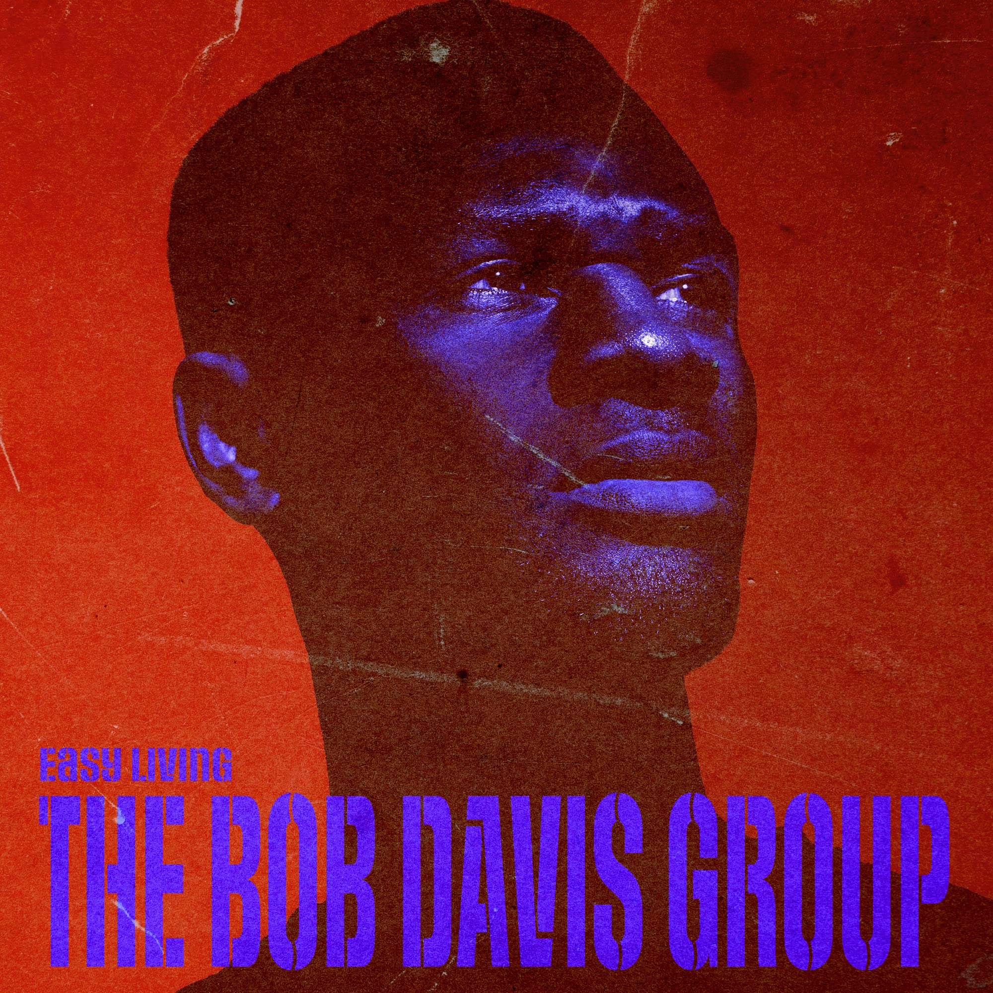 The Bob Davis Group