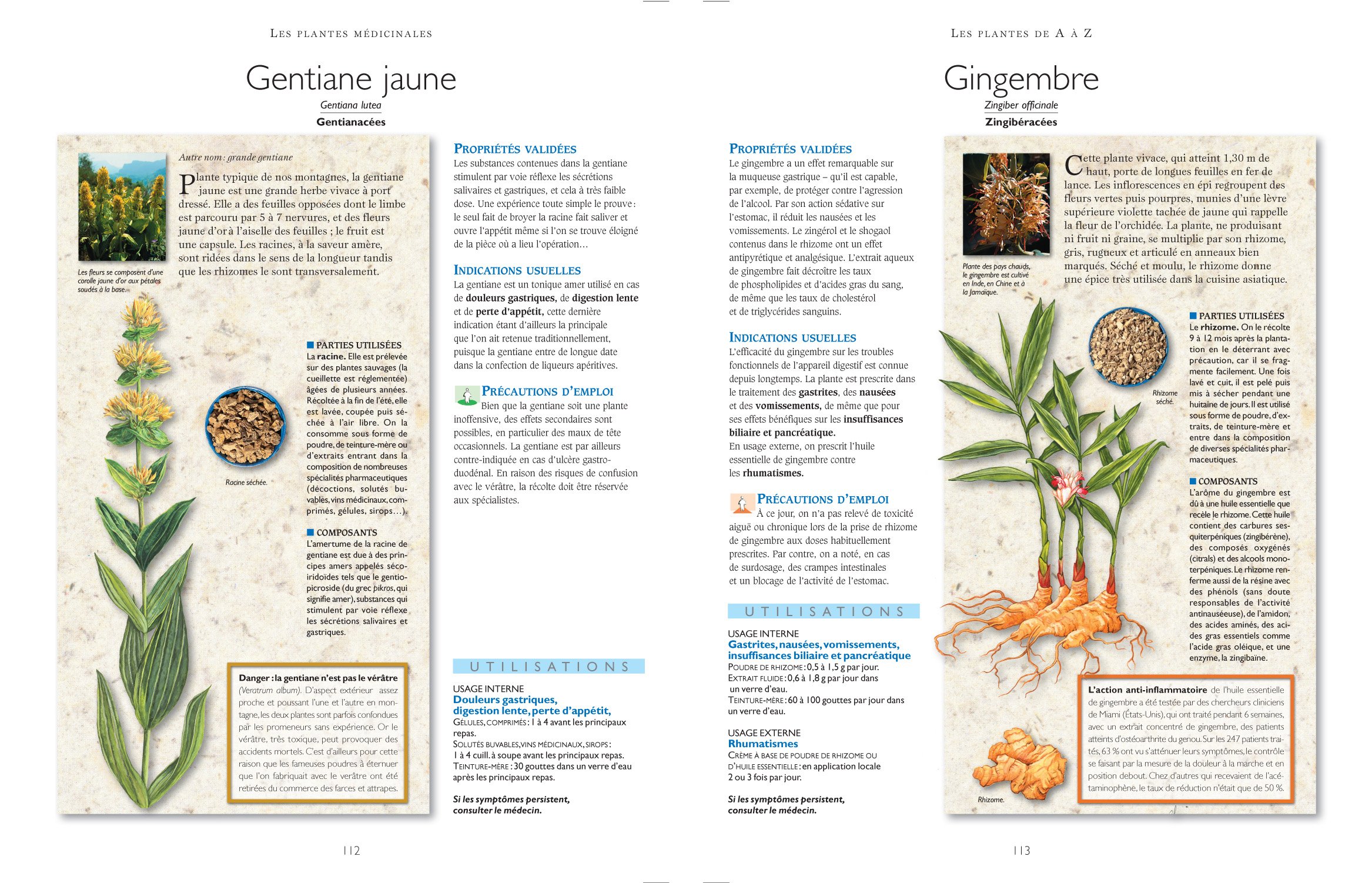 Secrets et vertus des plantes médicinales