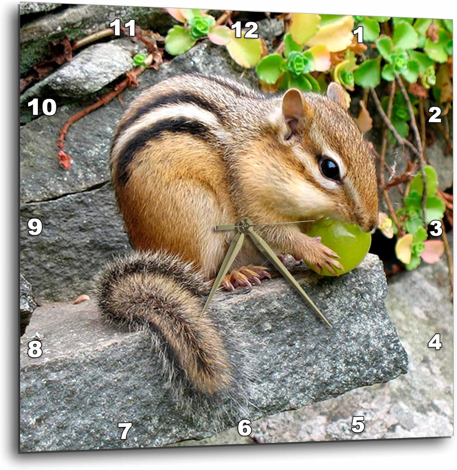 3dRose Wall Clock Silent - 15 inch - Chipmunk - Wild Animals
