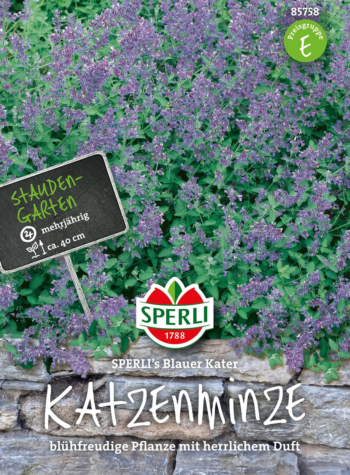 Blaue Katzenminze Samen (Nepeta Mussinii) – 200 Stück, Mehrjährig, Frosthart, Bienenfreundlich