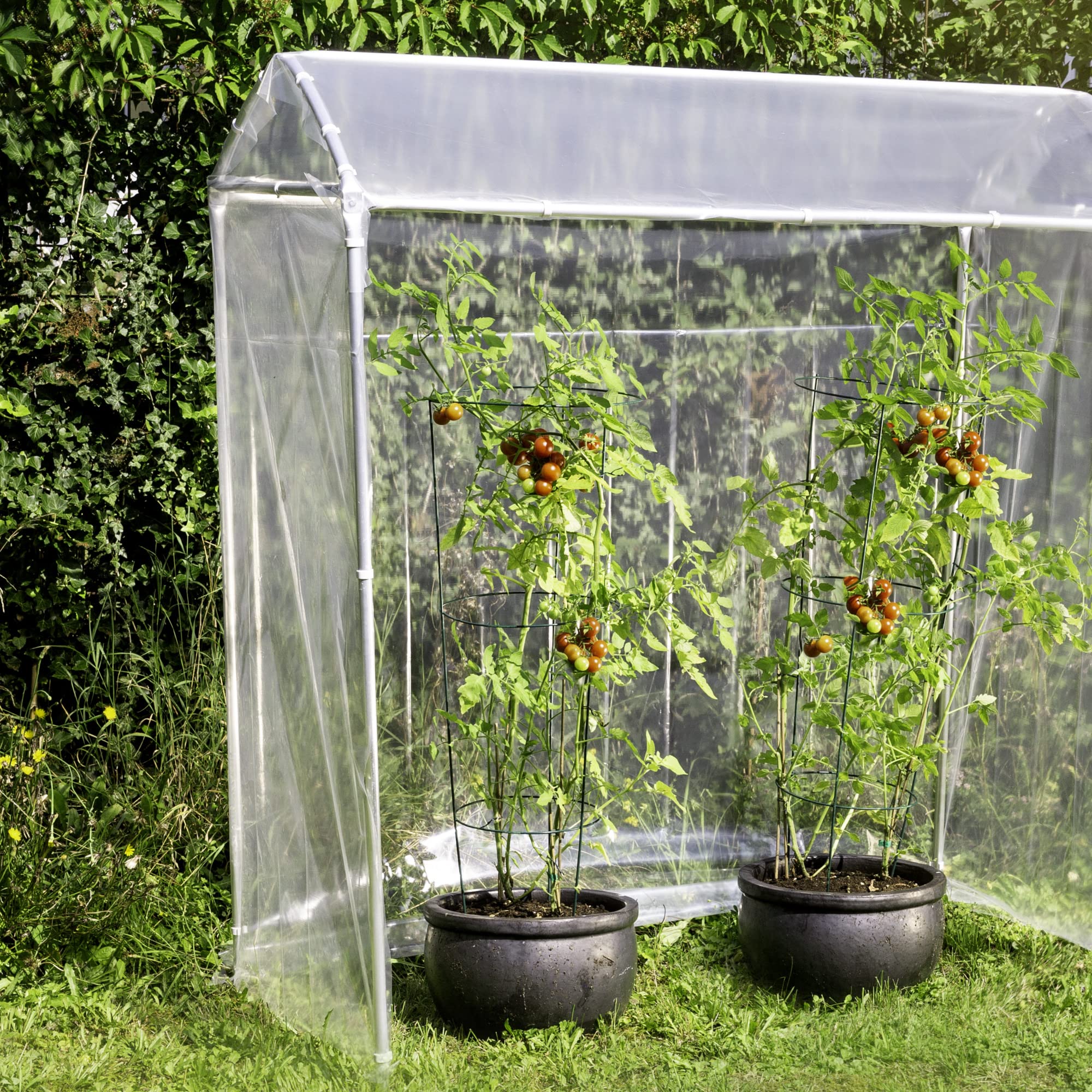 Windhager Ersatzfolie für Tomatenhaus ALUSTAR, Gewächshausfolie, Treibhausfolie, UV-stabil, 150 μm, 80 x 150 x 180cm, 33702