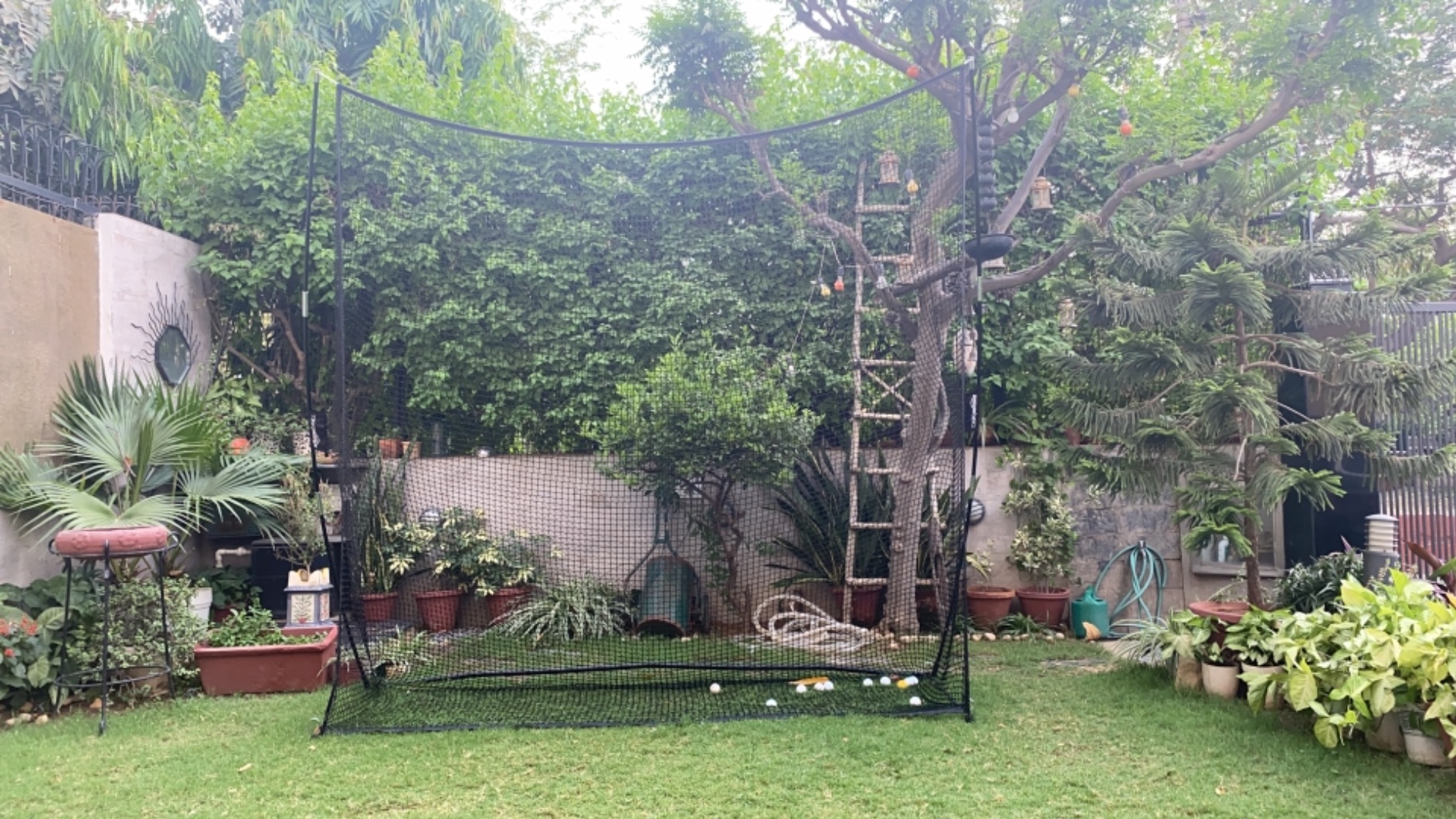 AmazonBasics Steel Portable Driving Practice Golf Net, 8Foot x 8Foot