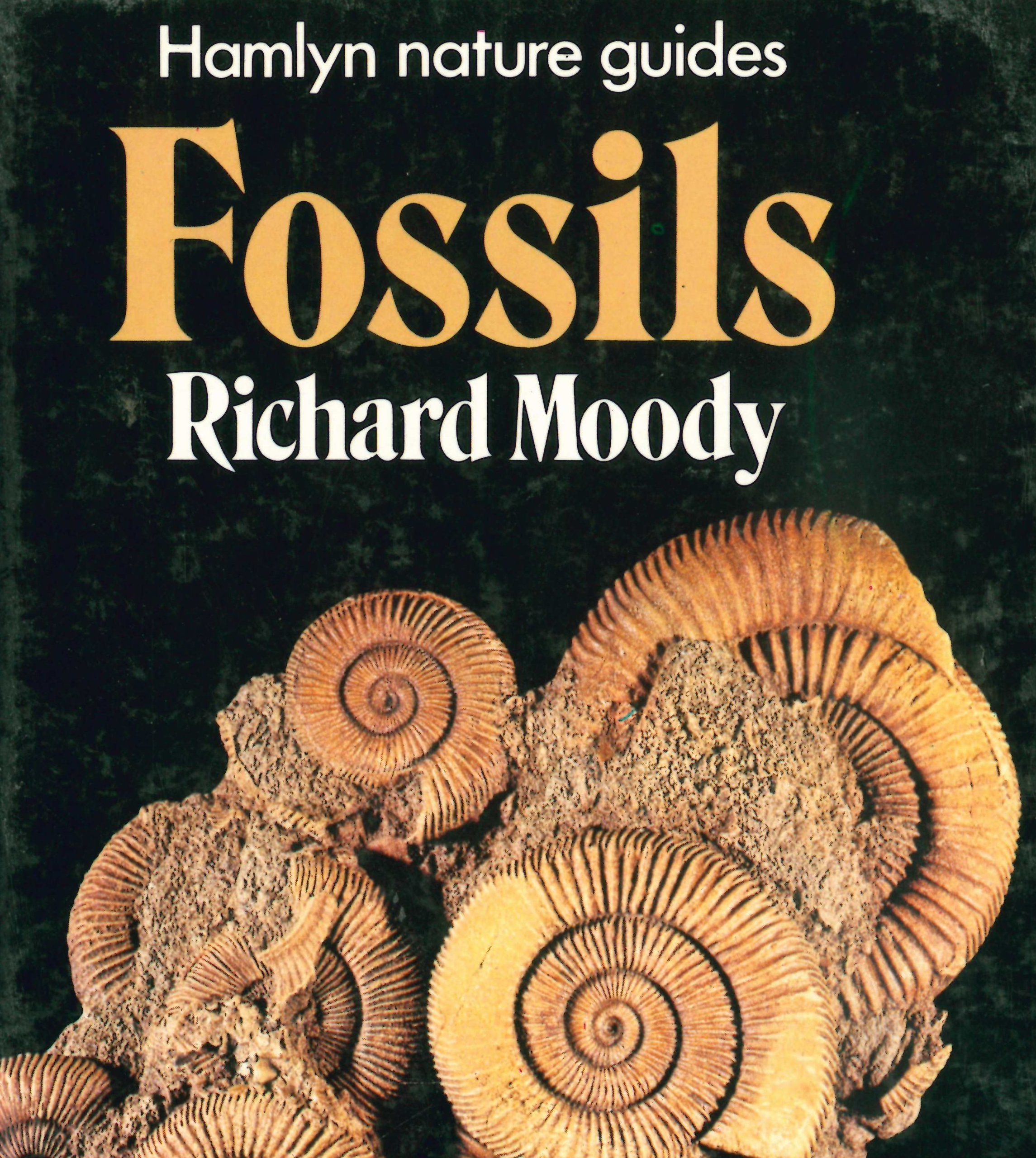 Fossils (Hamlyn nature guides)